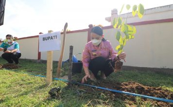Peringati HUT 65 Pemprov Kalbar, Bupati Landak Lakukan Tanam Sejuta Pohon
