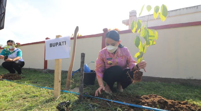 Peringati HUT 65 Pemprov Kalbar, Bupati Landak Lakukan Tanam Sejuta Pohon