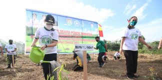 Tanam Sejuta Pohon, Bupati Karolin : Kita Bersama Menjaga Lingkungan