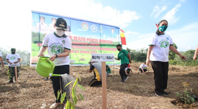 Tanam Sejuta Pohon, Bupati Karolin : Kita Bersama Menjaga Lingkungan