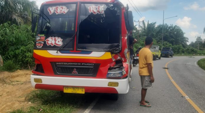 Tabrak Dump Truck Terpakir Ditikungan, Microbus Alami Rinsek Pada Bagian Depan