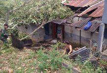 Petugas Gabungan Bantu Bersihkan Ranting Pohon Timpa Rumah Warga Pasca Diterjang Angin Puting Beliung