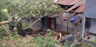 Petugas Gabungan Bantu Bersihkan Ranting Pohon Timpa Rumah Warga Pasca Diterjang Angin Puting Beliung