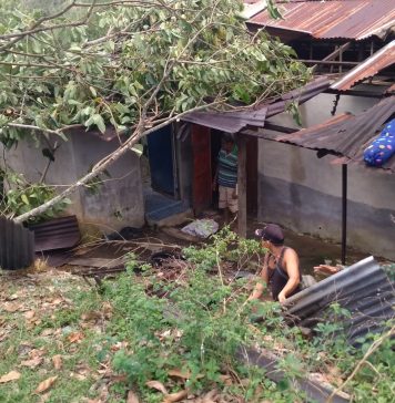 Petugas Gabungan Bantu Bersihkan Ranting Pohon Timpa Rumah Warga Pasca Diterjang Angin Puting Beliung