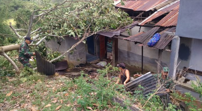 Petugas Gabungan Bantu Bersihkan Ranting Pohon Timpa Rumah Warga Pasca Diterjang Angin Puting Beliung