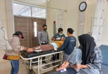 Hindari Anjing, Pengendara Sepeda Motor Terlibat Kecelakaan Tunggal