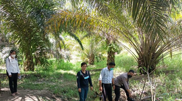 Sejumlah Warga Menjalin Terserang Diare, Puskesmas Menjalin Lakukan Pengecekan Air Gunung Samabue
