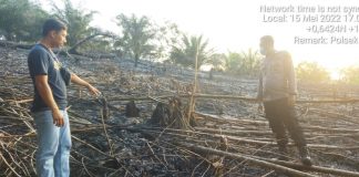 Titik Api Terpantau Dicitra Satelit, Polisi Lakukan Pengecekan Lokasi