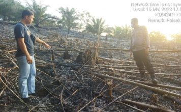 Titik Api Terpantau Dicitra Satelit, Polisi Lakukan Pengecekan Lokasi