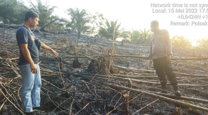 Titik Api Terpantau Dicitra Satelit, Polisi Lakukan Pengecekan Lokasi