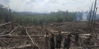 Kebakaran Lahan Terpantau Melalui Citra Satelit, Polisi Lakukan Cek TKP