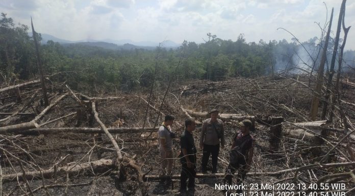 Kebakaran Lahan Terpantau Melalui Citra Satelit, Polisi Lakukan Cek TKP