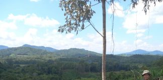 Polisi Cek Lokasi Lahan Terbakar di Desa Semade, Pemilik Akui Untuk Tanam Jagung