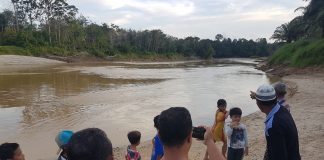 Kemunculan Buaya di Sungai Landak, Warga Gelar Ritual Buang-Buang