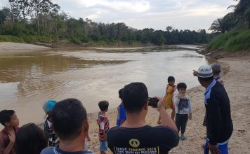Kemunculan Buaya di Sungai Landak, Warga Gelar Ritual Buang-Buang