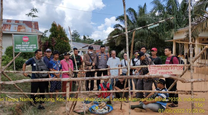 Sempat Dipagar Warga, Akses Jalan Kebun PT GRS Kembali Dibuka Secara Ritual Adat