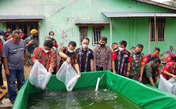 Pemberdayaan Masyarakat Desa Melalui Budidaya Ikan Lele Desa Hilir Kantor Ngabang