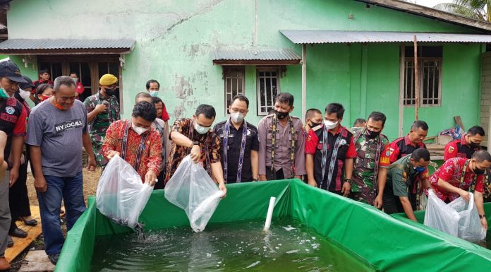Pemberdayaan Masyarakat Desa Melalui Budidaya Ikan Lele Desa Hilir Kantor Ngabang