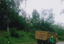 Motor Vs Dump Truck di Tonang, Pengendara Sepeda Motor Alami Luka-Luka