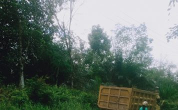 Motor Vs Dump Truck di Tonang, Pengendara Sepeda Motor Alami Luka-Luka