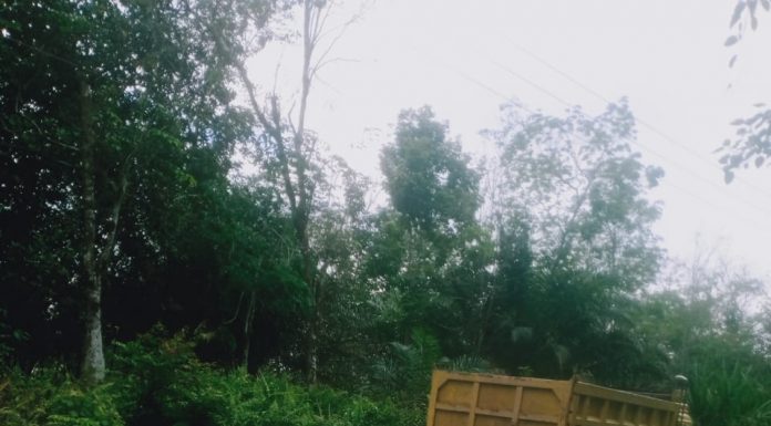 Motor Vs Dump Truck di Tonang, Pengendara Sepeda Motor Alami Luka-Luka