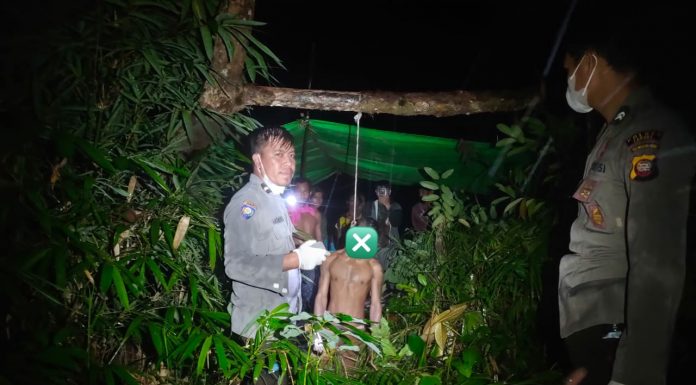 Mayat Pria Tergantung Dibawah Pohon Tengkawang Gegerkan Warga Sejowet