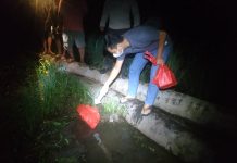 Pergi Mencari Keong, Seorang Perempuan Ditemukan Meninggal Dunia Dilokasi Persawahan di Desa Anik Dingir