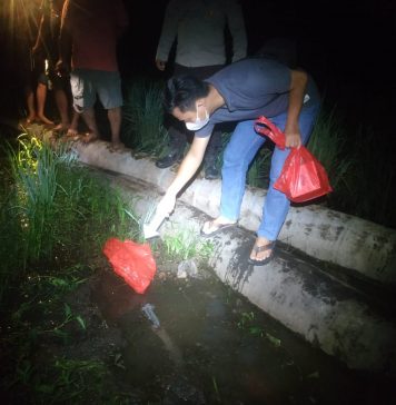 Pergi Mencari Keong, Seorang Perempuan Ditemukan Meninggal Dunia Dilokasi Persawahan di Desa Anik Dingir