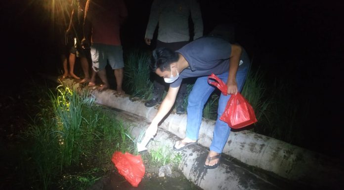 Pergi Mencari Keong, Seorang Perempuan Ditemukan Meninggal Dunia Dilokasi Persawahan di Desa Anik Dingir