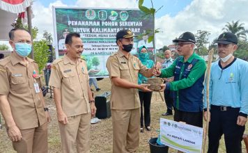 Pemkab Landak Dukung Gerakan Tanam Pohon Pulihkan Hutan dan Lahan