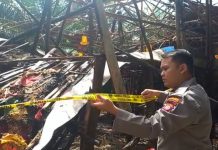 3000 Ekor Ayam Terpanggang Dalam Kebakaran Kandang Ayam di Desa Sungai Mawang