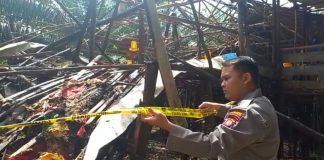 3000 Ekor Ayam Terpanggang Dalam Kebakaran Kandang Ayam di Desa Sungai Mawang