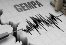 Gempa Tektonik Magnitudo 5.0 Guncang Ketapang Kalimantan Barat