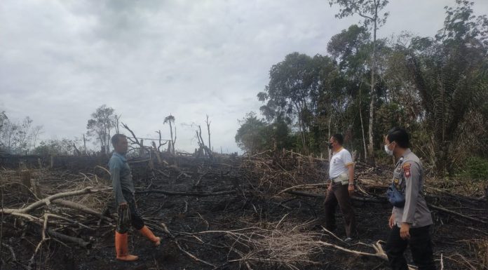 Temukan 0,7 Hektar Lahan Terbakar di Desa Ladangan, Polisi Lakukan Pengecekan