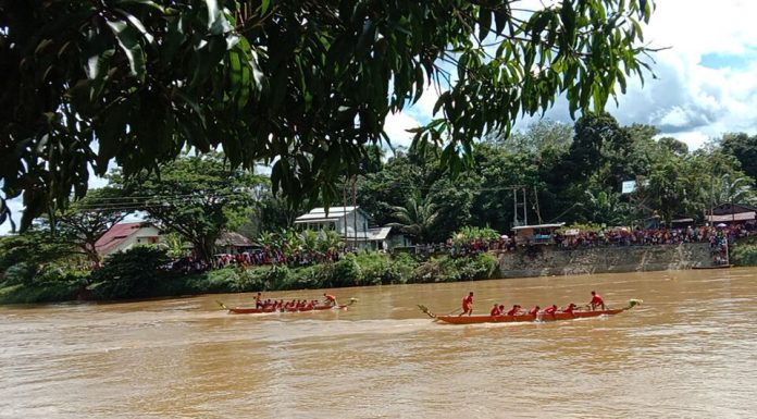 14 Klub Berlaga Dalam Lomba Perahu Dragon Boat Cup I di Sungai Landak