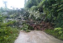 Tanah Lonsor Tutupi Akses Jalan Dari Desa Sungai Keli Menuju Ngabang