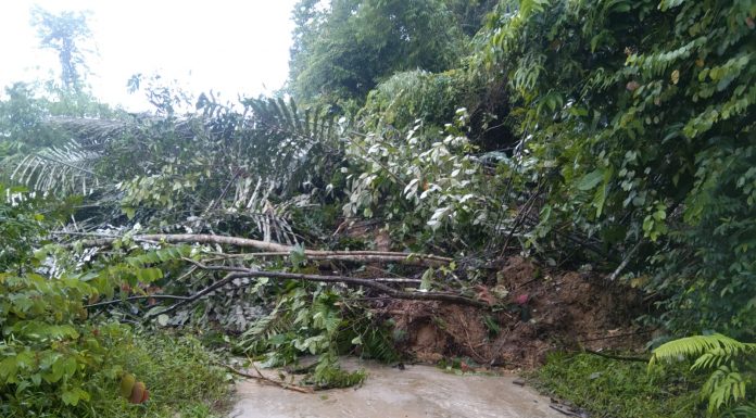 Tanah Lonsor Tutupi Akses Jalan Dari Desa Sungai Keli Menuju Ngabang