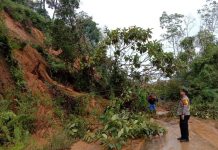 Tujuh Titik Tanah Longsor Timbun Ruas Jalan Provinsi Nanga Pinoh-Kota Baru