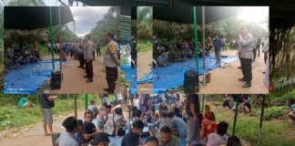 Tidak Ada Titik Temu Dengan Pihak Perusahaan Sejumlah Masa Kembali Datangi PT STA