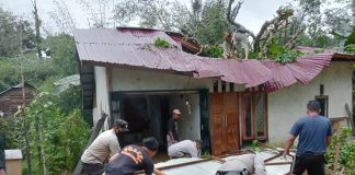 Dua Rumah Warga di Melawi Rusak Parah Tertimpa Pohon Tumbang