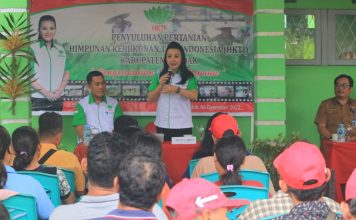 Petani di Jelimpo Ikuti Sosialisasi Pengendalian Hama Terpadu dan Penyakit Tanaman Pangan