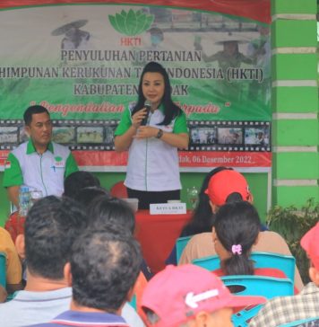 Petani di Jelimpo Ikuti Sosialisasi Pengendalian Hama Terpadu dan Penyakit Tanaman Pangan