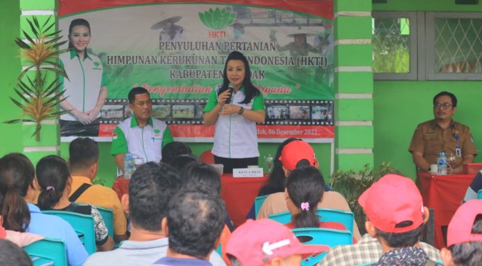 Petani di Jelimpo Ikuti Sosialisasi Pengendalian Hama Terpadu dan Penyakit Tanaman Pangan