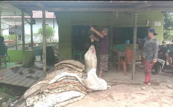 Warga Desa Kayu Ara Harapkan Adanya Kenaikan Harga Karet
