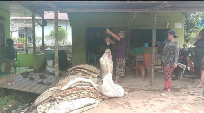 Warga Desa Kayu Ara Harapkan Adanya Kenaikan Harga Karet