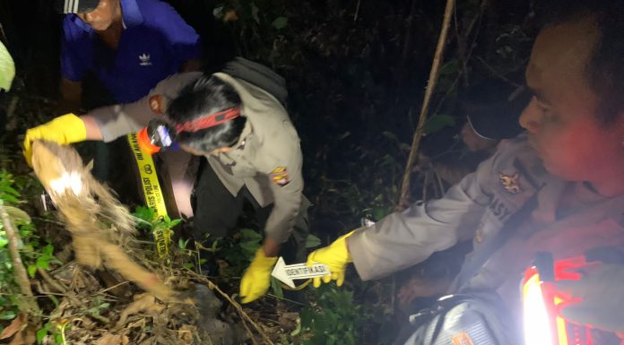Hendak Cari Kayu Dihutan, Pelajar Temukan Tengkorak Manusia