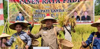 Samuel : Pertanian Merupakan Sektor Yang Berperan Dalam Pembangunan Perekonomian Daerah