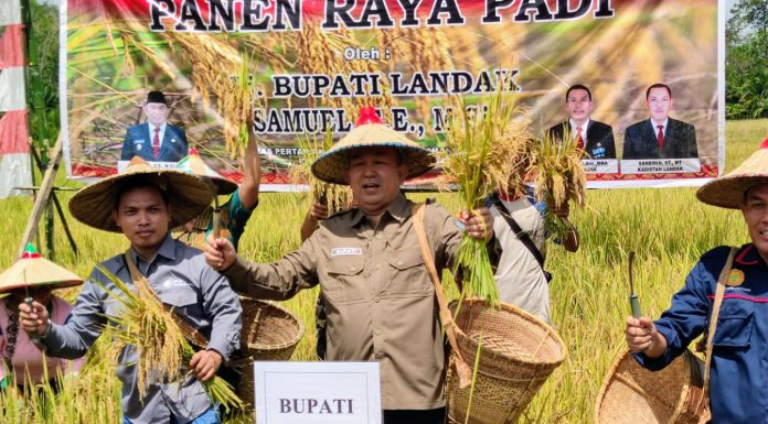 Samuel : Pertanian Merupakan Sektor Yang Berperan Dalam Pembangunan Perekonomian Daerah