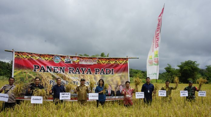 Tidak Hanya Padi, Samuel Intruksikan Petani Tanam Cabe Saat Hadiri Panen Raya di Banyuke Hulu