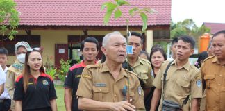Gerakan Tanam Pohon Serentak, Upaya Rehabilitasi Lahan Kritis